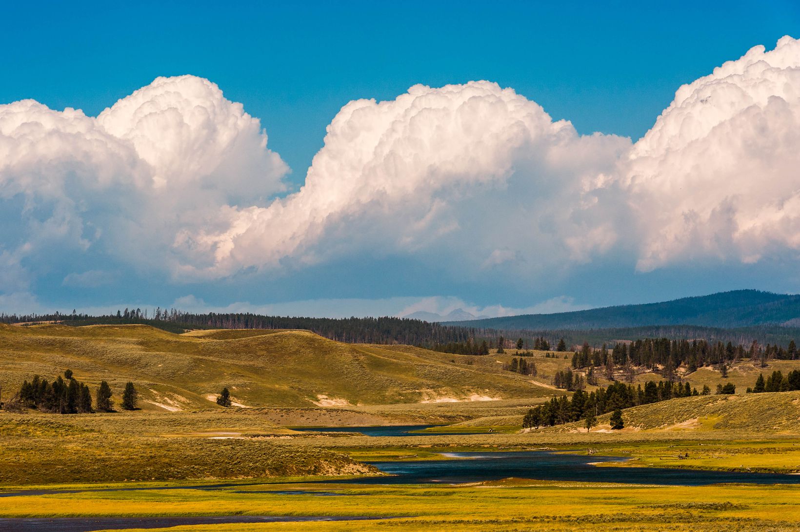 Yellowstone | Travel & Landscapes | Walker Angell